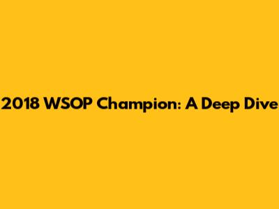 2018 WSOP Champion: A Deep Dive