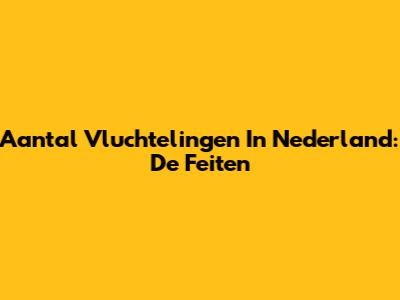 Aantal Vluchtelingen In Nederland: De Feiten
