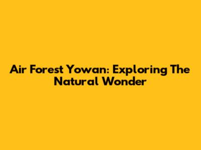 Air Forest Yowan: Exploring The Natural Wonder