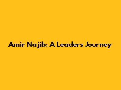 Amir Najib: A Leader's Journey
