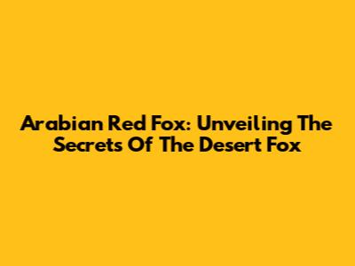 Arabian Red Fox: Unveiling The Secrets Of The Desert Fox