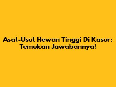 Asal-Usul Hewan Tinggi Di Kasur: Temukan Jawabannya!