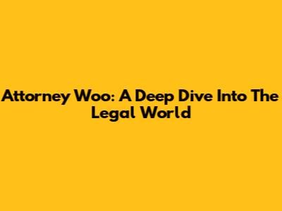 Attorney Woo: A Deep Dive Into The Legal World
