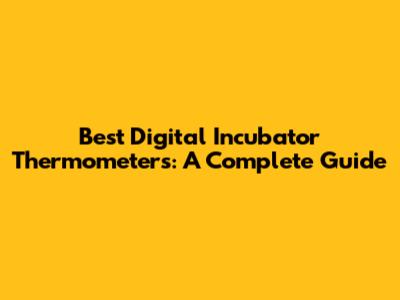 Best Digital Incubator Thermometers: A Complete Guide