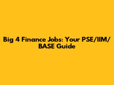 Big 4 Finance Jobs: Your PSE/IIM/BASE Guide