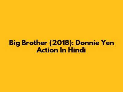 Big Brother (2018): Donnie Yen Action In Hindi