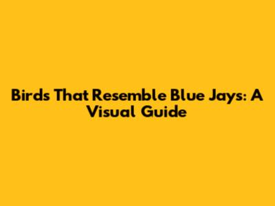 Birds That Resemble Blue Jays: A Visual Guide