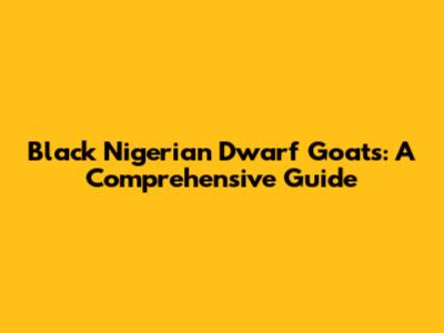Black Nigerian Dwarf Goats: A Comprehensive Guide