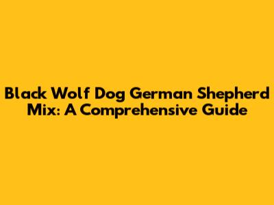 Black Wolf Dog German Shepherd Mix: A Comprehensive Guide
