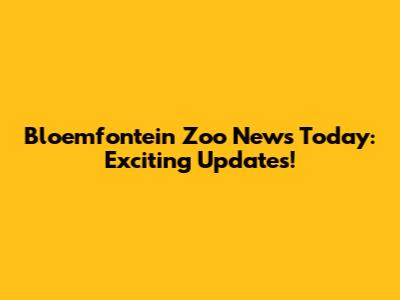 Bloemfontein Zoo News Today: Exciting Updates!