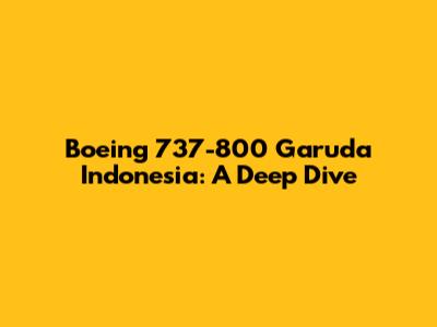 Boeing 737-800 Garuda Indonesia: A Deep Dive