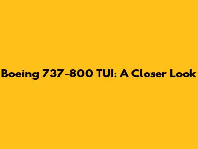 Boeing 737-800 TUI: A Closer Look