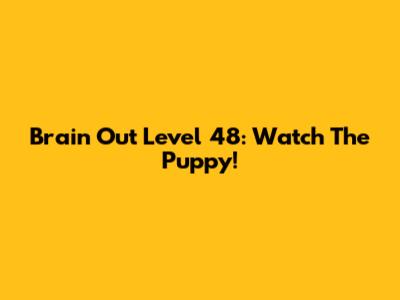 Brain Out Level 48: Watch The Puppy!