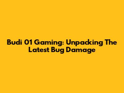 Budi 01 Gaming: Unpacking The Latest Bug Damage