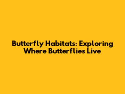 Butterfly Habitats: Exploring Where Butterflies Live