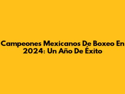 Campeones Mexicanos De Boxeo En 2024: Un Año De Éxito