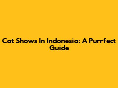 Cat Shows In Indonesia: A Purrfect Guide