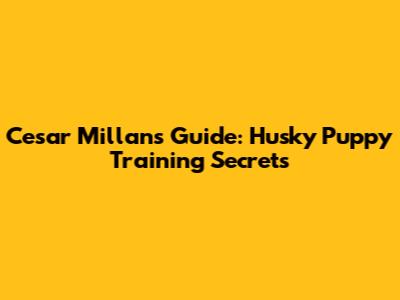 Cesar Millan's Guide: Husky Puppy Training Secrets