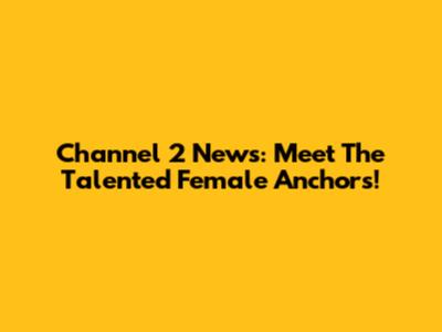 Channel 2 News: Meet The Talented Female Anchors!
