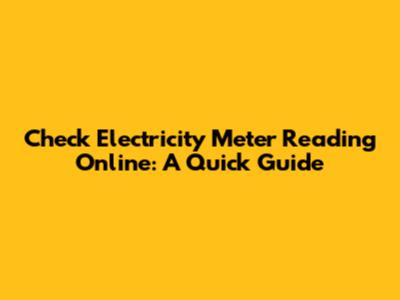 Check Electricity Meter Reading Online: A Quick Guide