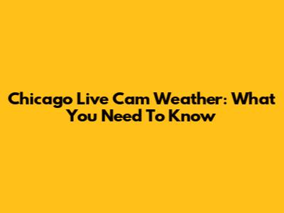 Chicago Live Cam Weather: What You Need To Know
