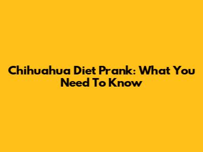 Chihuahua Diet Prank: What You Need To Know