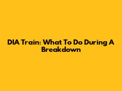 DIA Train: What To Do During A Breakdown