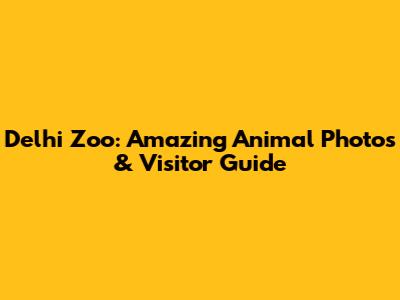 Delhi Zoo: Amazing Animal Photos & Visitor Guide