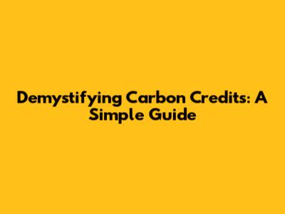 Demystifying Carbon Credits: A Simple Guide