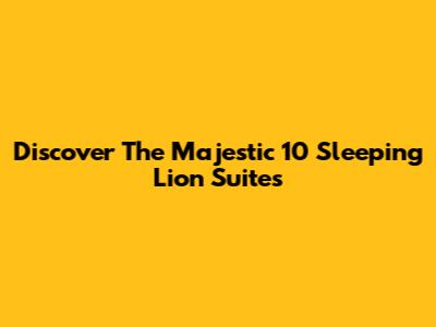 Discover The Majestic 10 Sleeping Lion Suites