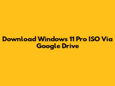 Download Windows 11 Pro ISO Via Google Drive