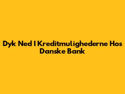 Dyk Ned I Kreditmulighederne Hos Danske Bank