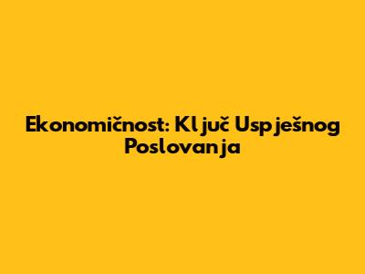 Ekonomičnost: Ključ Uspješnog Poslovanja