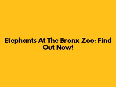 Elephants At The Bronx Zoo: Find Out Now!