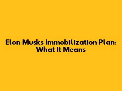 Elon Musk's Immobilization Plan: What It Means