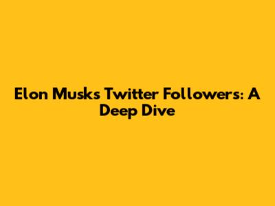Elon Musk's Twitter Followers: A Deep Dive