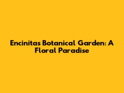 Encinitas Botanical Garden: A Floral Paradise