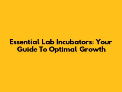 Essential Lab Incubators: Your Guide To Optimal Growth