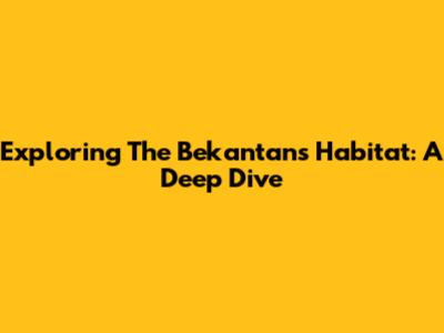 Exploring The Bekantan's Habitat: A Deep Dive