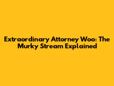 Extraordinary Attorney Woo: The Murky Stream Explained