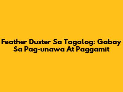 Feather Duster Sa Tagalog: Gabay Sa Pag-unawa At Paggamit