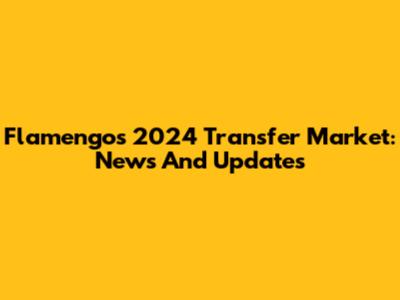 Flamengo's 2024 Transfer Market: News And Updates