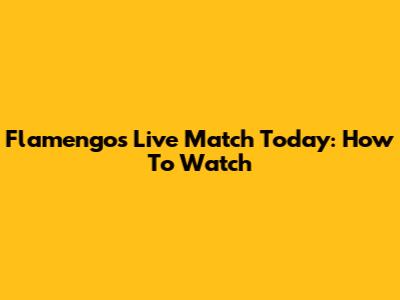 Flamengo's Live Match Today: How To Watch