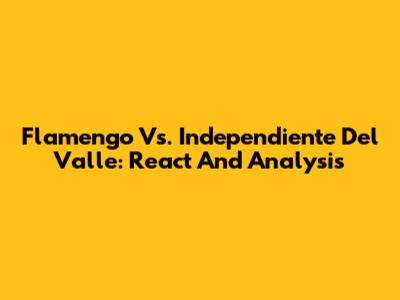 Flamengo Vs. Independiente Del Valle: React And Analysis
