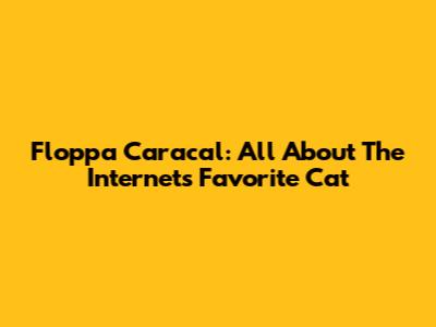 Floppa Caracal: All About The Internet's Favorite Cat