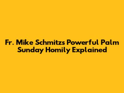 Fr. Mike Schmitz's Powerful Palm Sunday Homily Explained