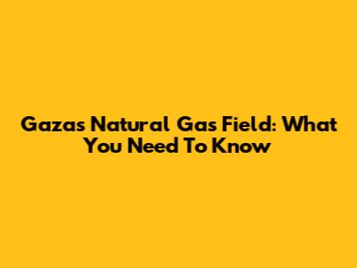 Gaza's Natural Gas Field: What You Need To Know