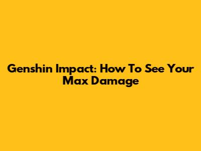 Genshin Impact: How To See Your Max Damage
