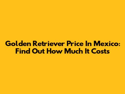 Golden Retriever Price In Mexico: Find Out How Much It Costs