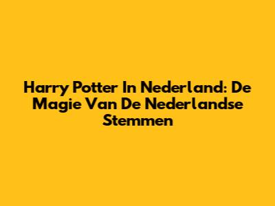 Harry Potter In Nederland: De Magie Van De Nederlandse Stemmen
